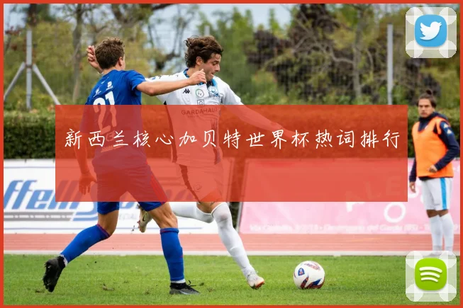 新西兰核心加贝特世界杯热词排行