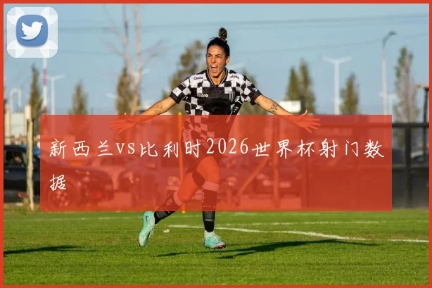 新西兰vs比利时2026世界杯射门数据