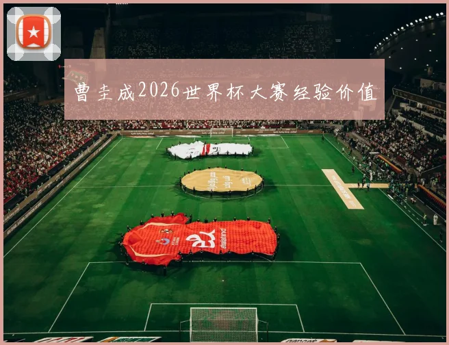 曹圭成2026世界杯大赛经验价值
