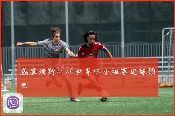威廉姆斯2026世界杯小组赛进球预测