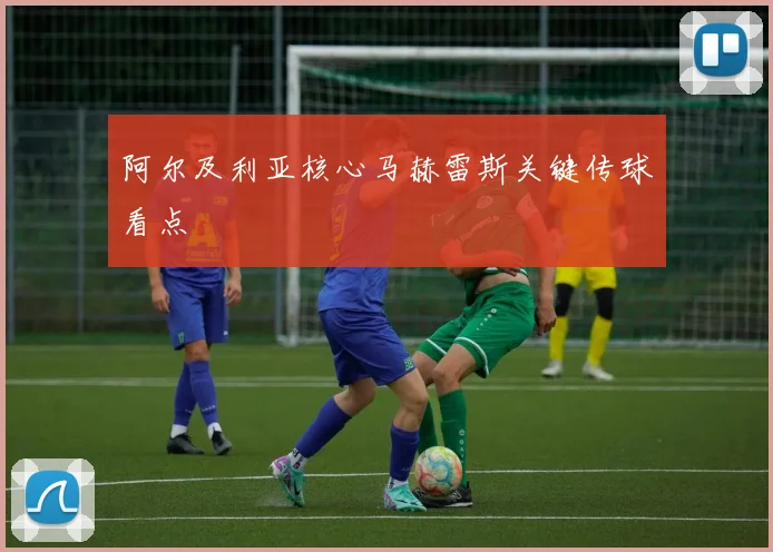 阿尔及利亚核心马赫雷斯关键传球看点