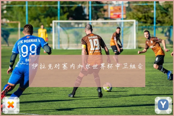 伊拉克对塞内加尔世界杯中卫组合