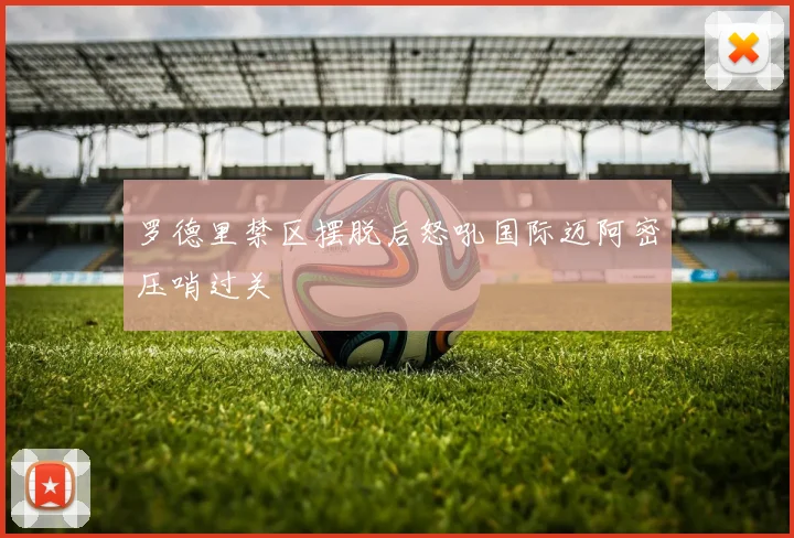罗德里禁区摆脱后怒吼国际迈阿密压哨过关