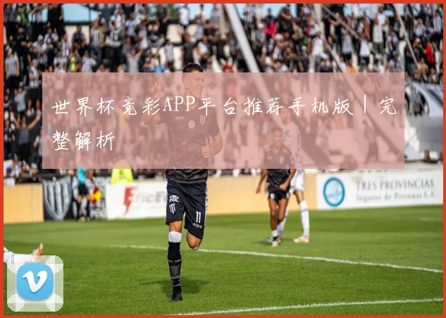 世界杯竞彩APP平台推荐手机版｜完整解析