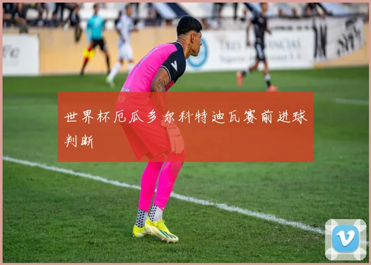 世界杯厄瓜多尔科特迪瓦赛前进球判断