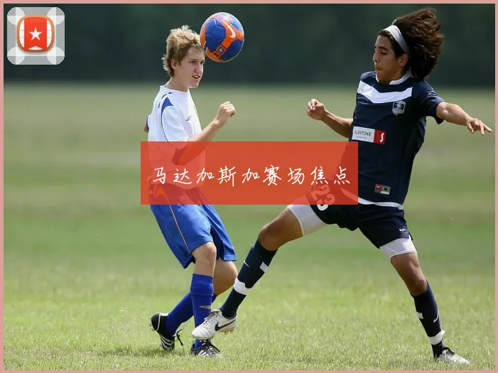马达加斯加赛场焦点