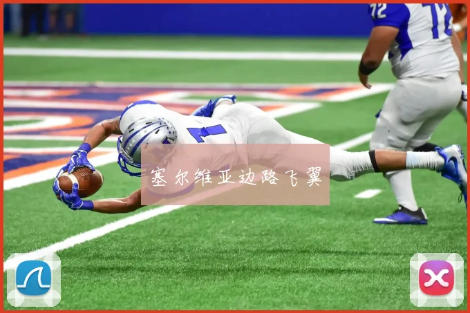 塞尔维亚边路飞翼