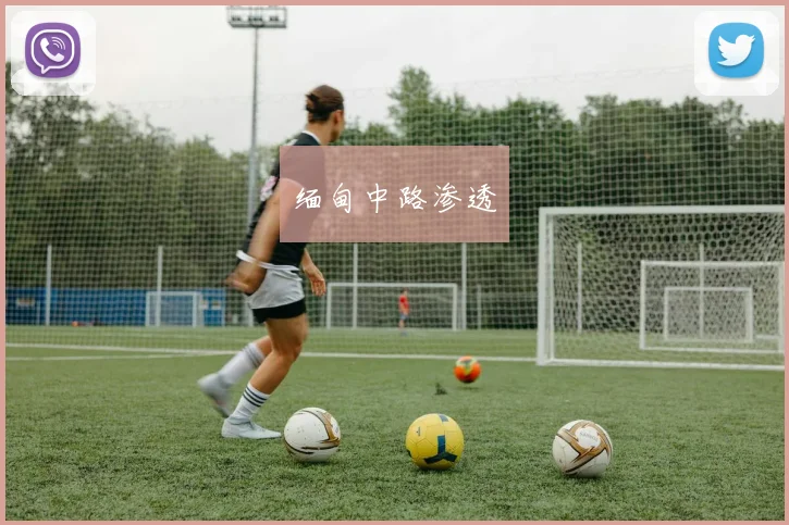 缅甸中路渗透