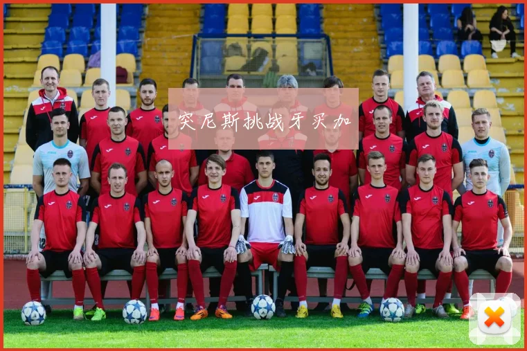 突尼斯挑战牙买加