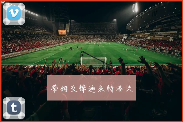 蒂姆交锋迪米特洛夫