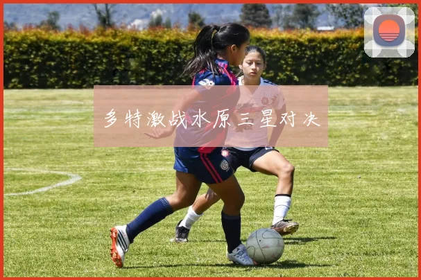 多特激战水原三星对决