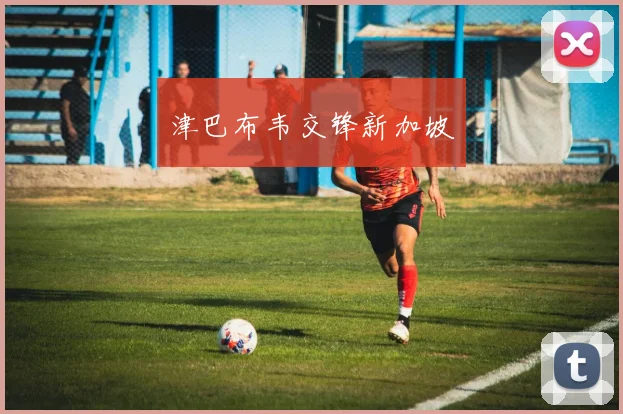 津巴布韦交锋新加坡