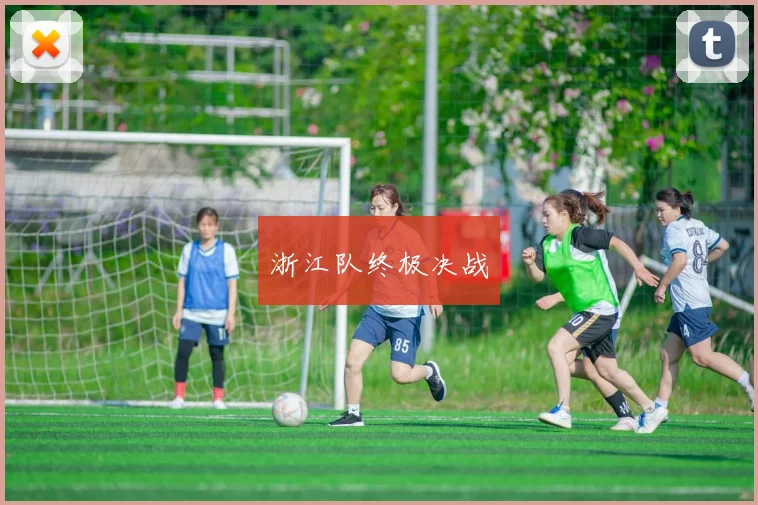 浙江队终极决战
