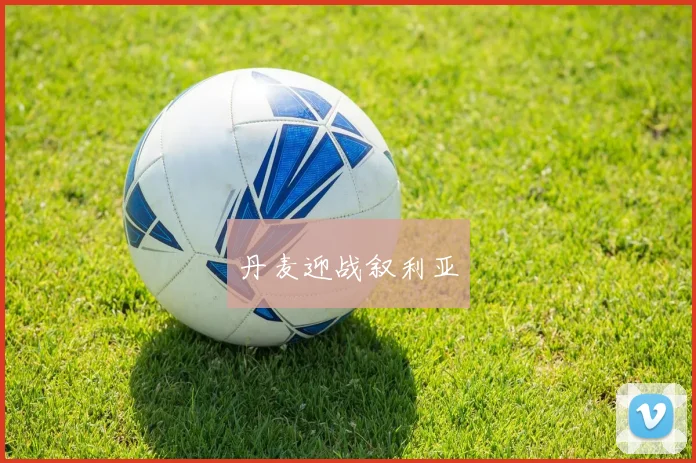 丹麦迎战叙利亚