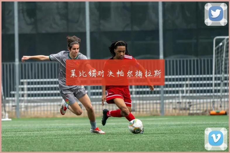 莱比锡对决帕尔梅拉斯