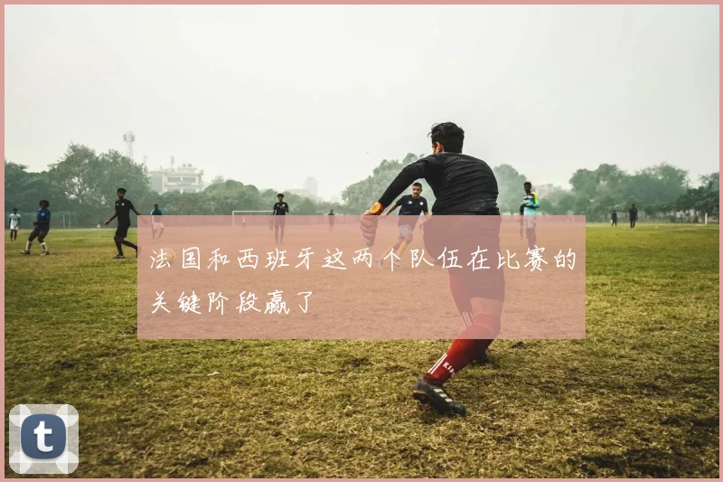 法国和西班牙这两个队伍在比赛的关键阶段赢了