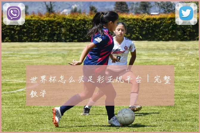 世界杯怎么买足彩正规平台｜完整教学