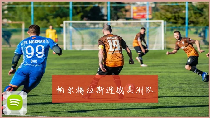 帕尔梅拉斯迎战美洲队
