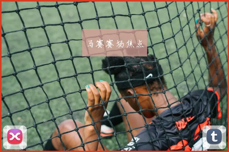 马赛赛场焦点