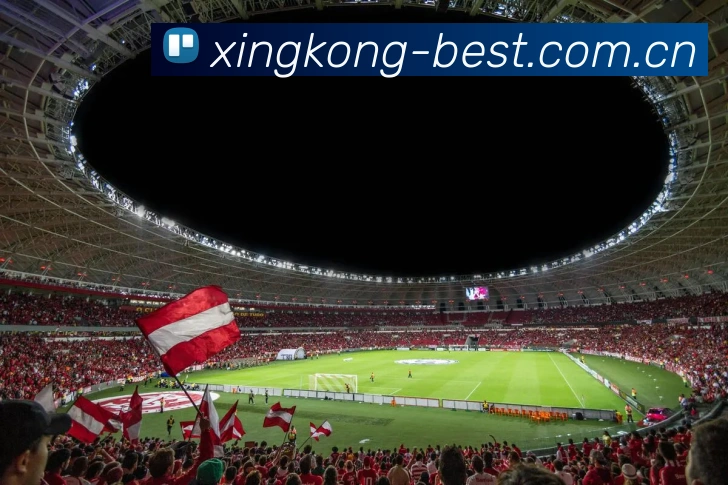 XingKongSports核心证书