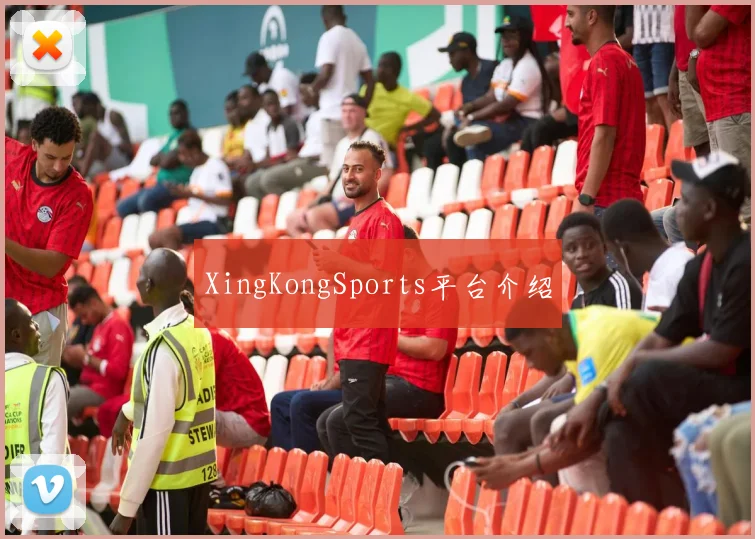 XingKongSports平台介绍
