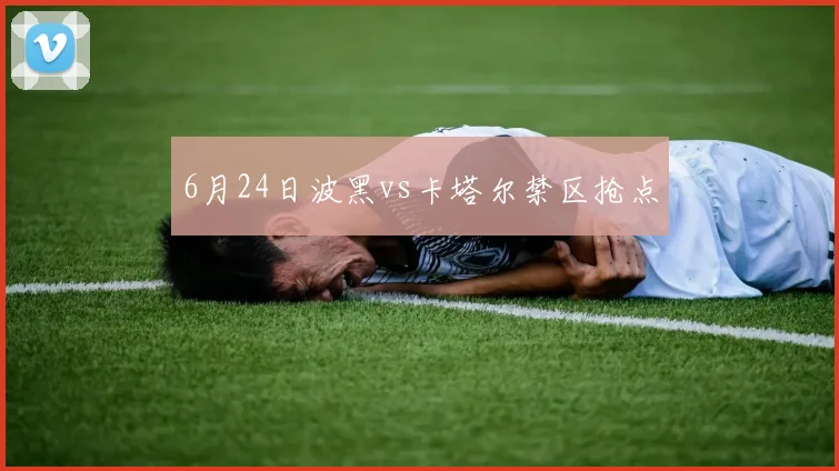 6月24日波黑vs卡塔尔禁区抢点