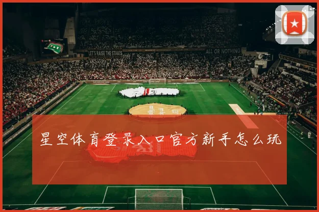星空体育登录入口官方新手怎么玩