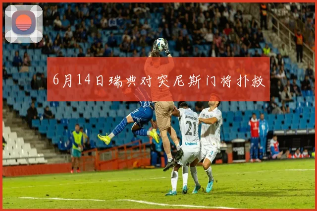 6月14日瑞典对突尼斯门将扑救